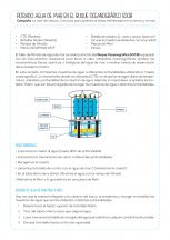 fichas_taller_filtrado_pelopanton-1
