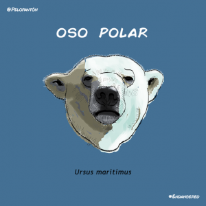 oso_polar