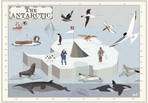 antarctic_pelopanton