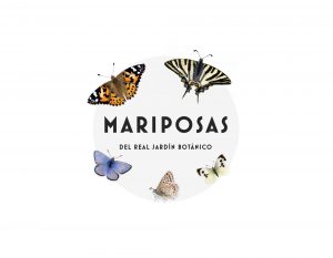 mariposas_pelopanton