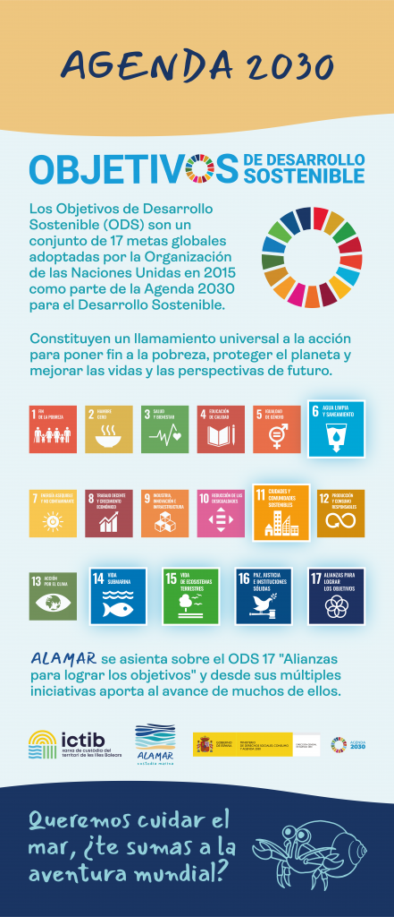 Agenda 20-30