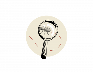 rastro_cabrera_pelopanton